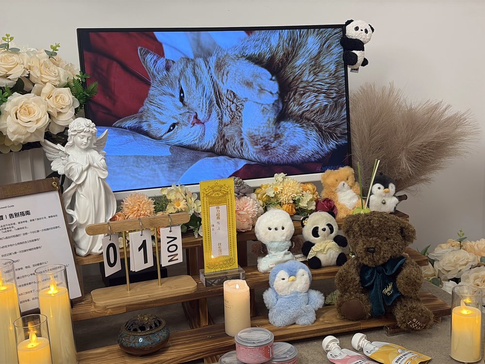 烟台宠物殡葬接宠服务与告别厅
